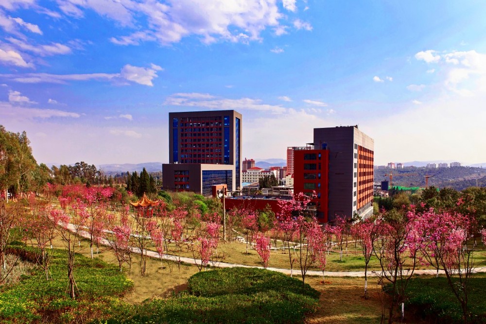 山西铁道职业技术学院2024年全国各省录取分数线