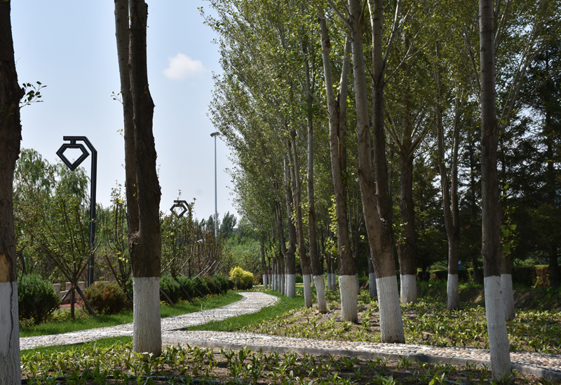 首都师范大学科德学院2024年在北京录取分数线