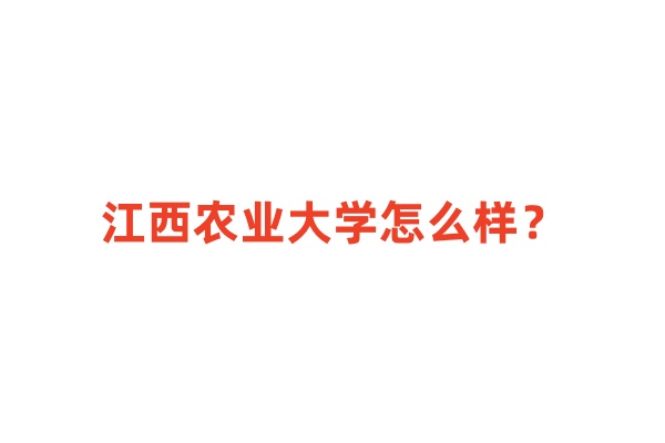 2024江西省本科大学排名，江西农业大学怎么样？