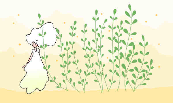 陕西高考多少分能上湖北师范大学？附2022-2024年最低录取分数线