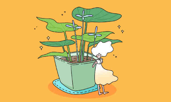 华南理工大学是一本还是二本 算好大学吗