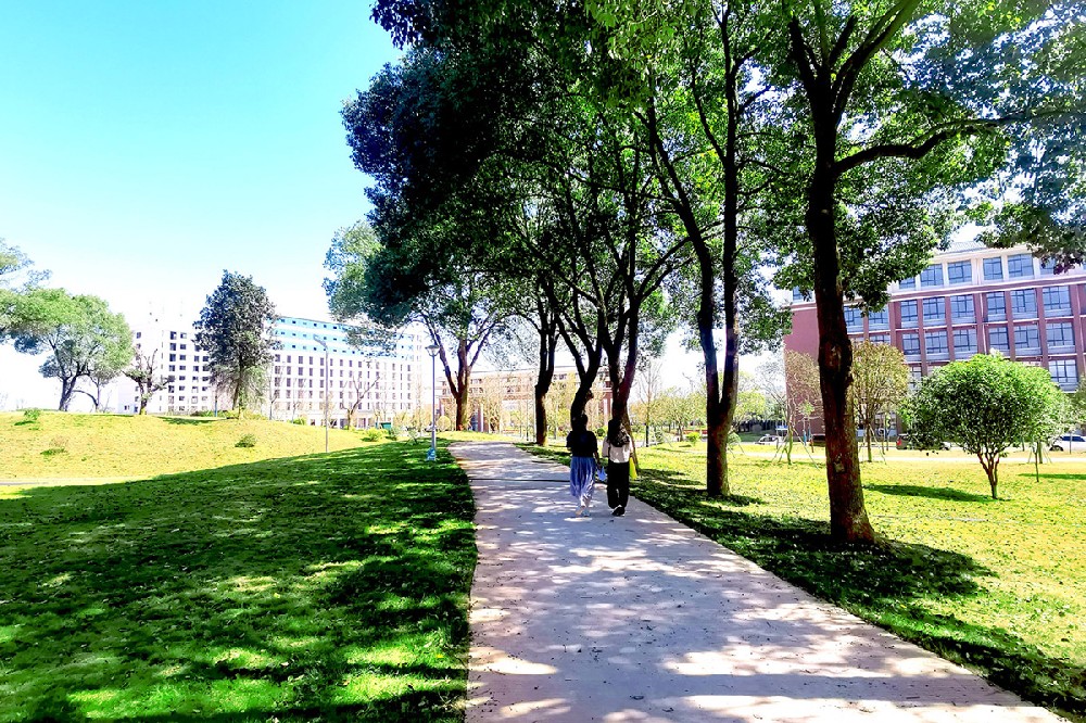 五邑大学2024年在贵州录取分数线、对应位次（附近几年最低录取分数线及位次排名）